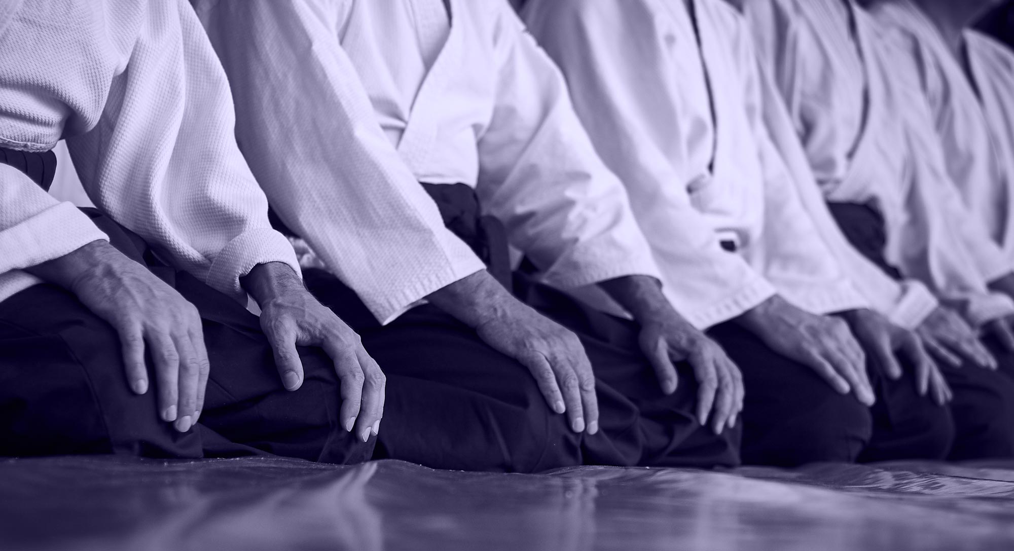 Aikido-Seiza Aikido-Seiza